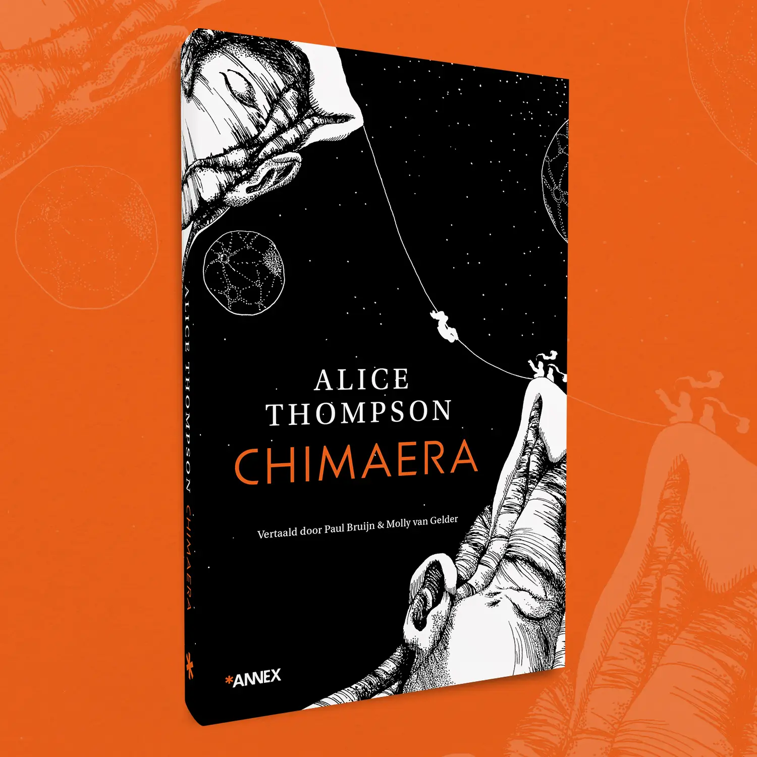 Annex chimaera
