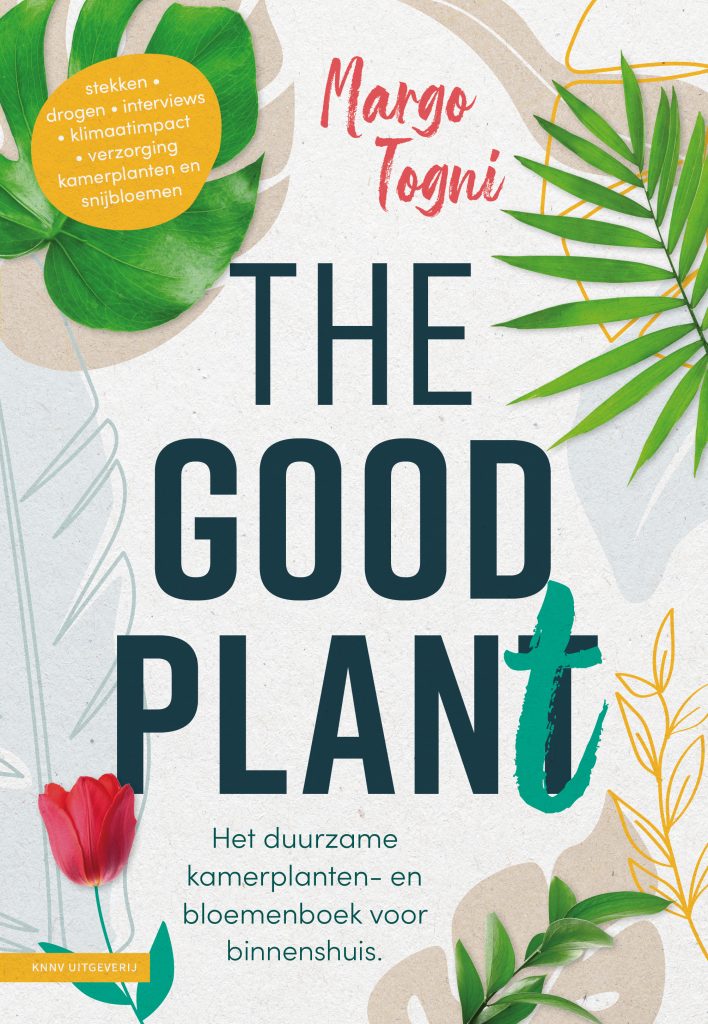 Togni good plant vp