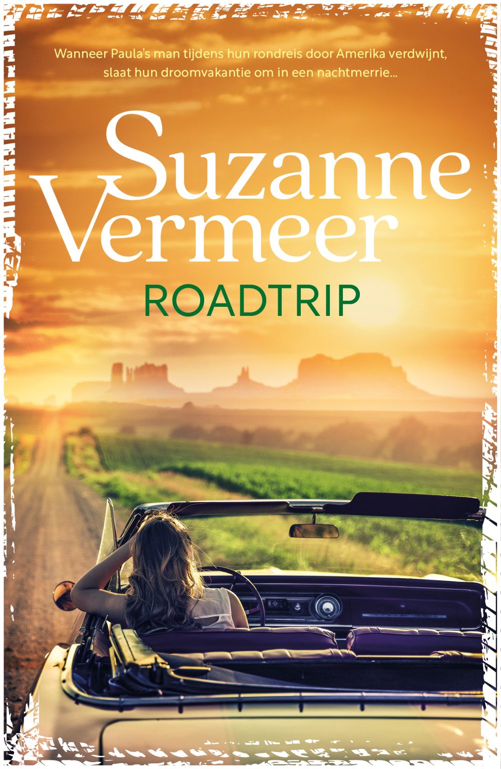 Vermeer roadtrip